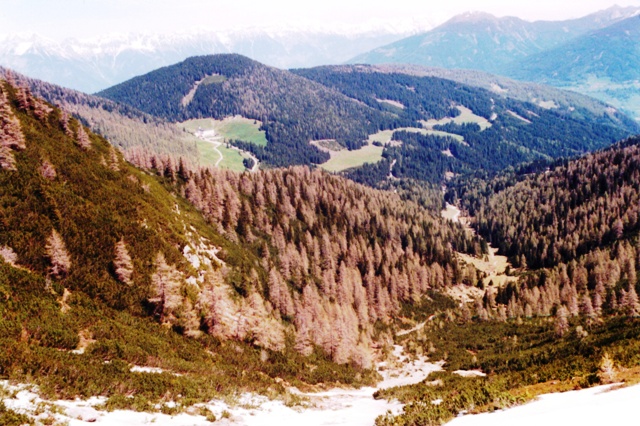 Peilspitze 2.392m, Blaser und Blaserhtte in den Stubaier Alpen - Berge-Hochtouren.de