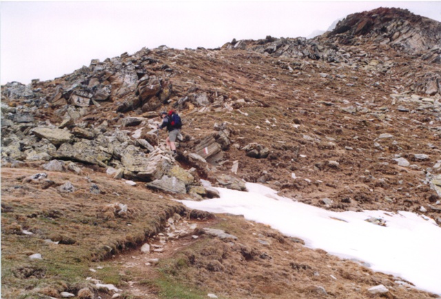 Vermoispitze 2.929m im Schnalstal ber St. Martin im Kofel - Berge-Hochtouren.de