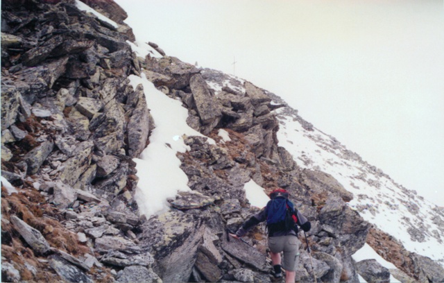 Vermoispitze 2.929m im Schnalstal ber St. Martin im Kofel - Berge-Hochtouren.de