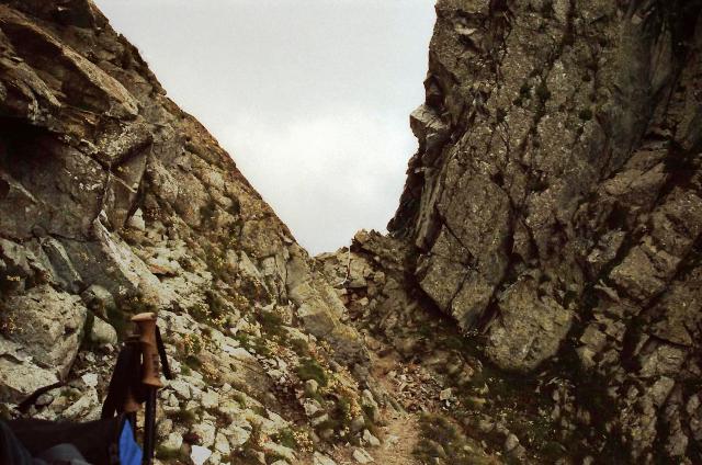 Ifinger 2.581m in den Sarntaler Alpen - Berge-Hochtouren.de