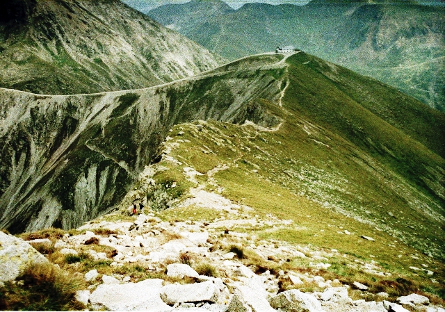 Ifinger 2.581m in den Sarntaler Alpen - Berge-Hochtouren.de