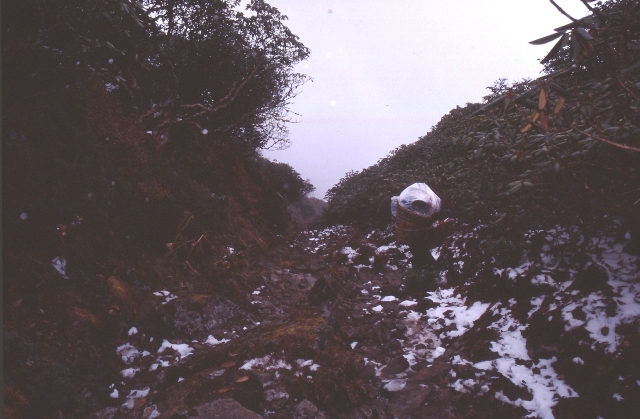 Mera Peak 6.471m Nepal - Berge-Hochtouren.de