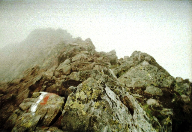 Sarntaler (Penser) Weisshorn 2.705m in den Sarntaler Alpen - Berge-Hochtouren.de