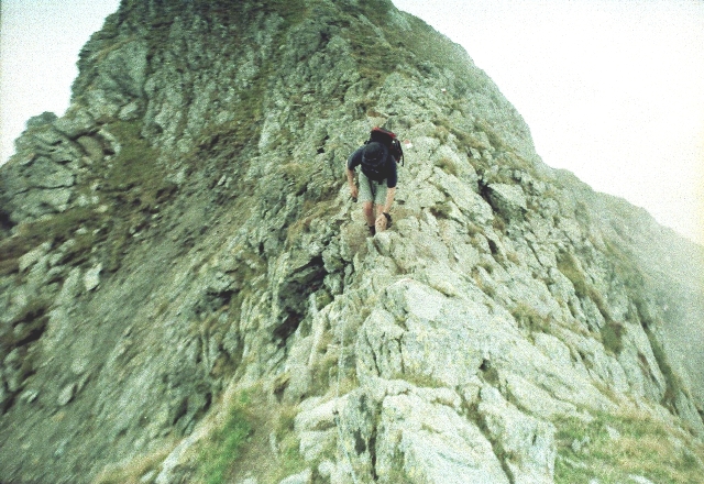 Jaufenspitze 2.481m - Berge-Hochtouren.de