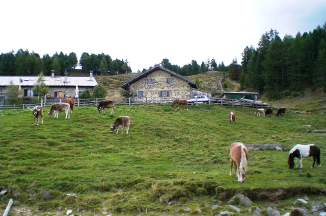 Naturnser Hochwart 2.608m im Vinschgau - Berge-Hochtouren.de