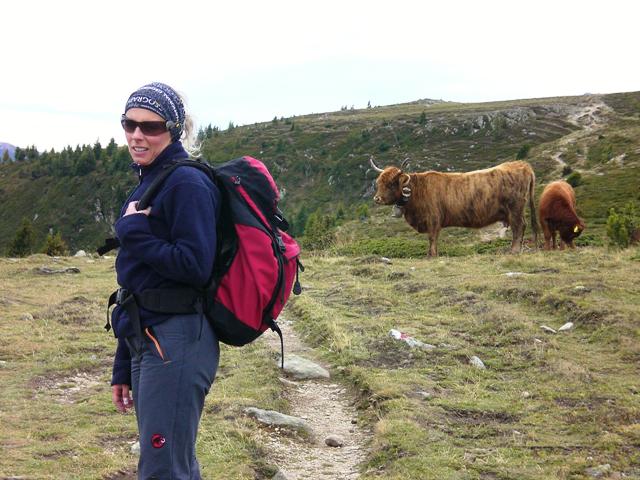 Naturnser Hochwart 2.608m im Vinschgau - Berge-Hochtouren.de