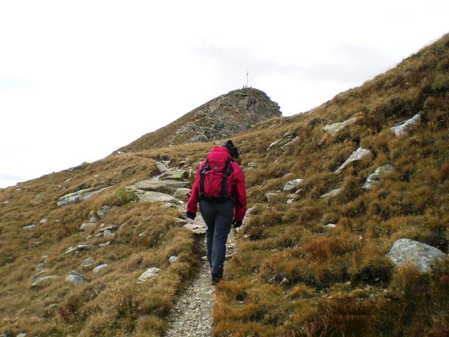 Naturnser Hochwart 2.608m im Vinschgau - Berge-Hochtouren.de