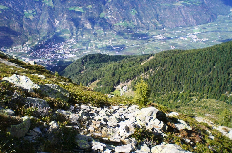 Naturnser Hochwart 2.608m im Vinschgau - Berge-Hochtouren.de