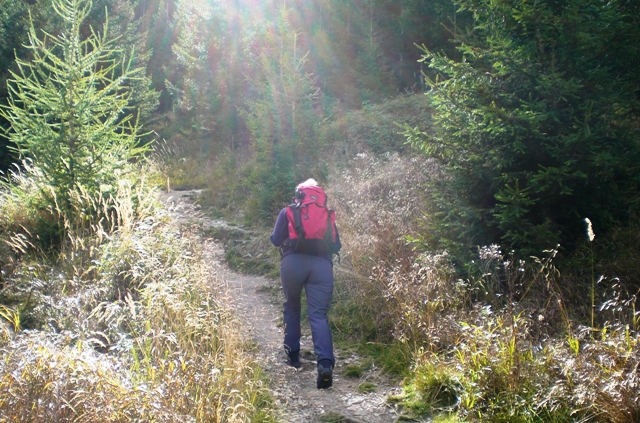 Naturnser Hochwart 2.608m im Vinschgau - Berge-Hochtouren.de