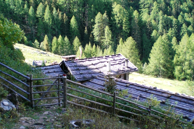 Naturnser Hochwart 2.608m im Vinschgau - Berge-Hochtouren.de