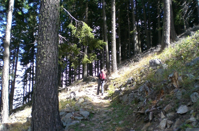 Naturnser Hochwart 2.608m im Vinschgau - Berge-Hochtouren.de