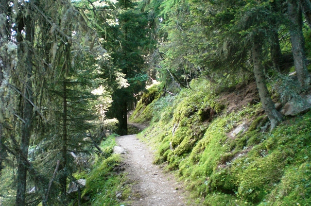 Naturnser Hochwart 2.608m im Vinschgau - Berge-Hochtouren.de
