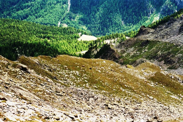 Orgelspitze Laaserspitze 3.304 m - Berge-Hochtouren.de