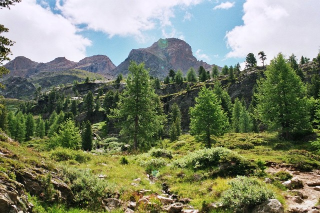 vordere Rotspitze 3.033 m - Berge-Hochtouren.de