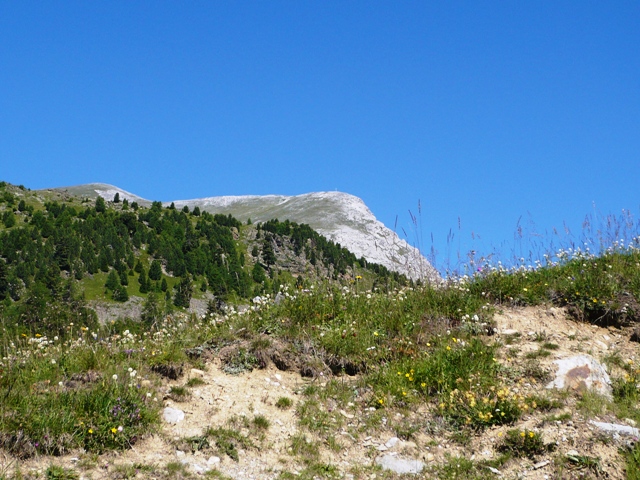 Piz Lad 2.808 m - Berge-Hochtouren.de