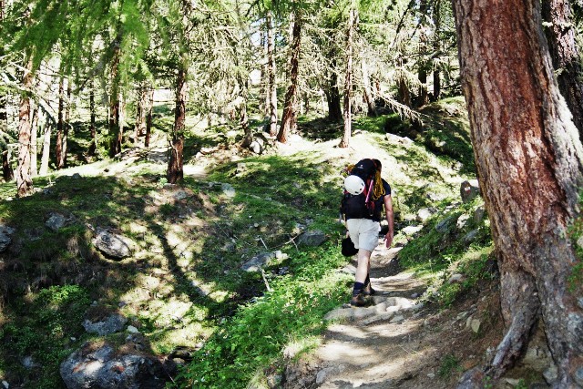 Similaun 3.606 m - Berge-Hochtouren.de