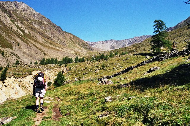 Similaun 3.606 m - Berge-Hochtouren.de