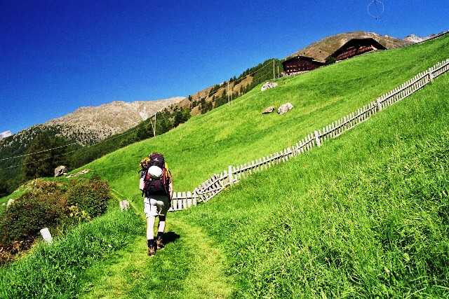 Similaun 3.606 m - Berge-Hochtouren.de