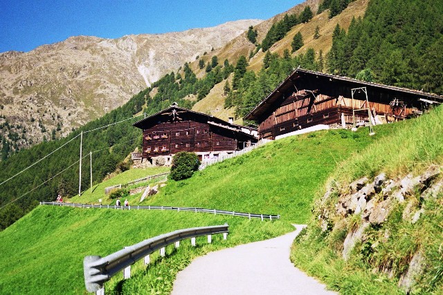 Similaun 3.606 m - Berge-Hochtouren.de