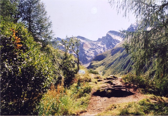 Hochfeiler - Berge-Hochtouren.de