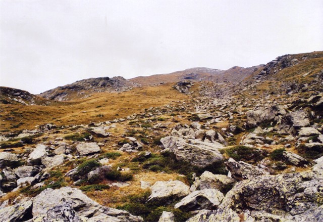 Kalfanwand - Berge-Hochtouren.de