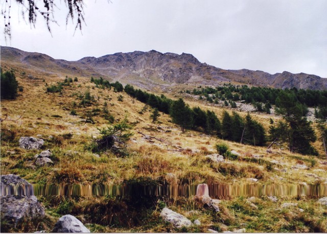 Schrfwand - Berge-Hochtouren.de