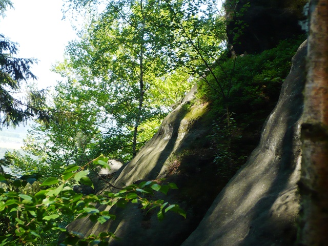 Groer Winterberg Elbsandsteingebirge - Berge-Hochtouren.de