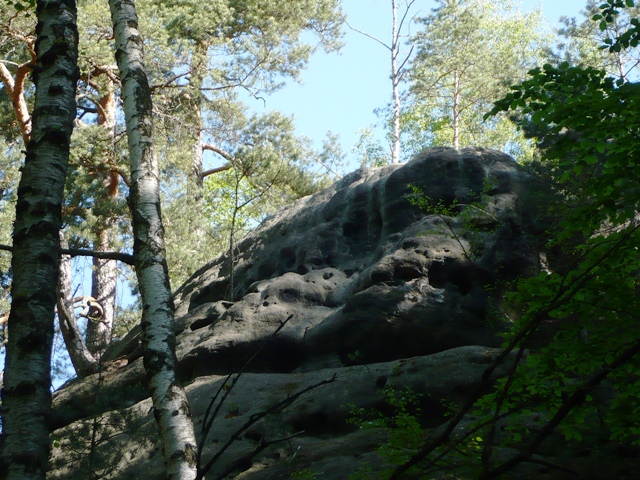 Groer Winterberg Elbsandsteingebirge - Berge-Hochtouren.de