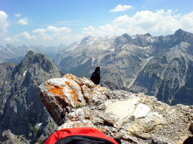 westliche Karwendelspitze - Berge-Hochtouren.de