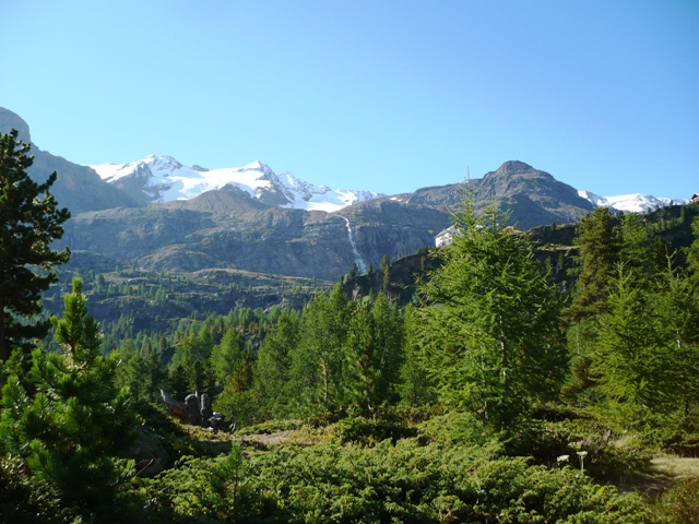 Kllkuppe (Cima Marmotta) - Berge-Hochtouren.de