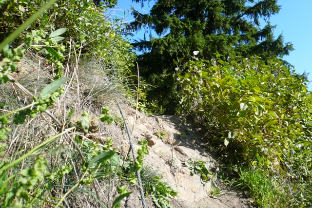 Kurt und Georg Lwinger Klettersteig - Berge-Hochtouren.de