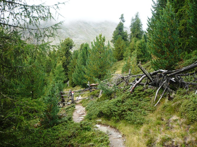 Kortscher Schafberg - Berge-Hochtouren.de