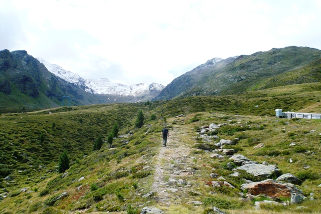 Tiergartenspitze - Berge-Hochtouren.de