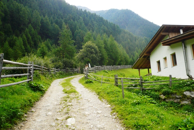 Weisskugel (Palla Bianca) - Berge-Hochtouren.de