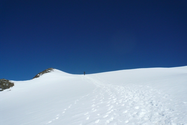 Weisskugel (Palla Bianca) - Berge-Hochtouren.de