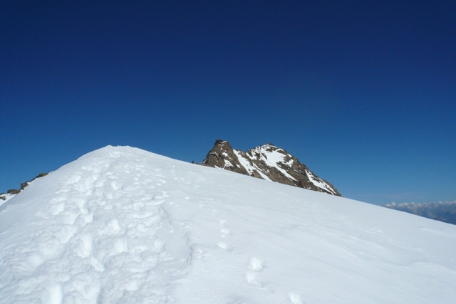 Weisskugel (Palla Bianca) - Berge-Hochtouren.de