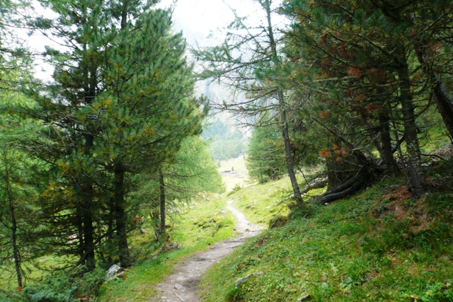 Weisskugel (Palla Bianca) - Berge-Hochtouren.de