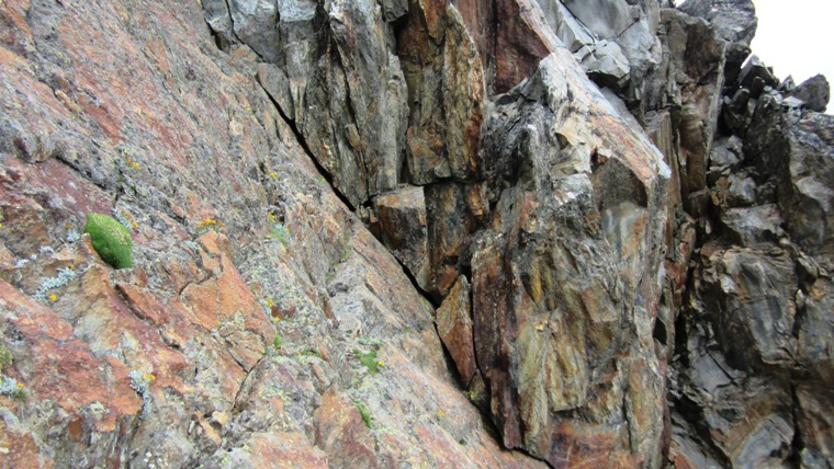 Hasenkofel berschreitung zur Steinschlagspitze - Berge-Hochtouren.de