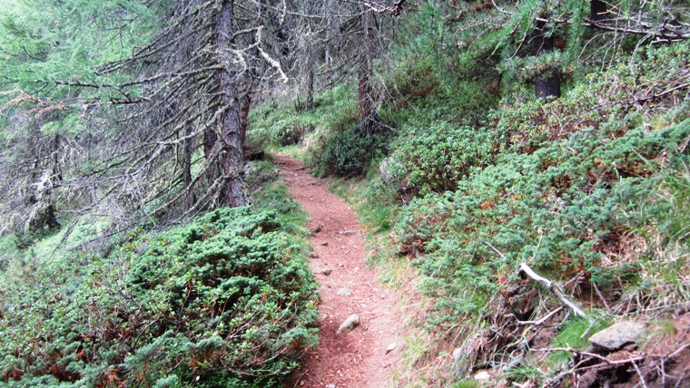 Hasenkofel berschreitung zur Steinschlagspitze - Berge-Hochtouren.de