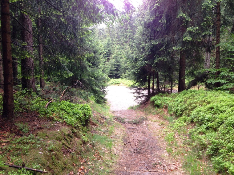 Rbezahlstiege in der Schsischen Schweiz