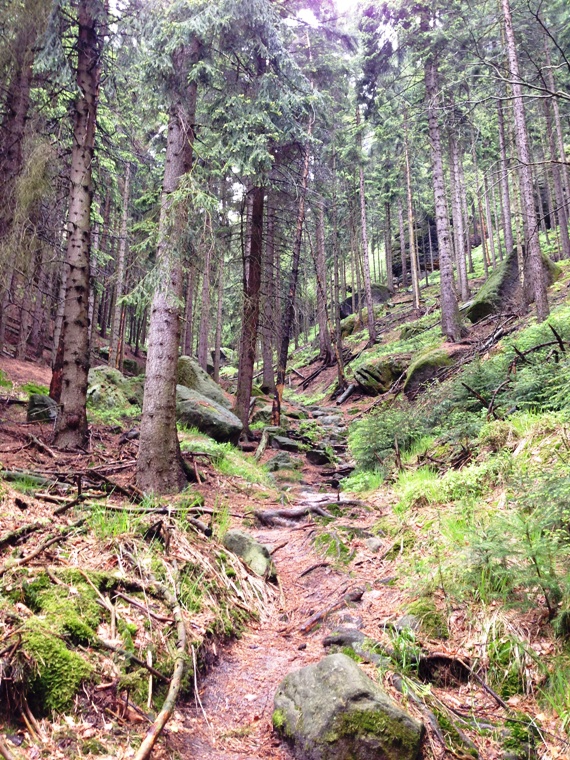 Rbezahlstiege in der Schsischen Schweiz