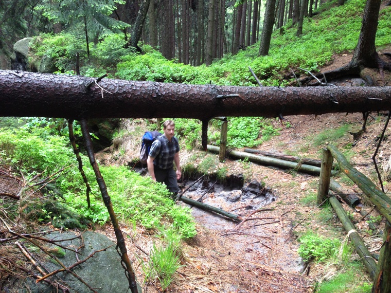 Rbezahlstiege in der Schsischen Schweiz