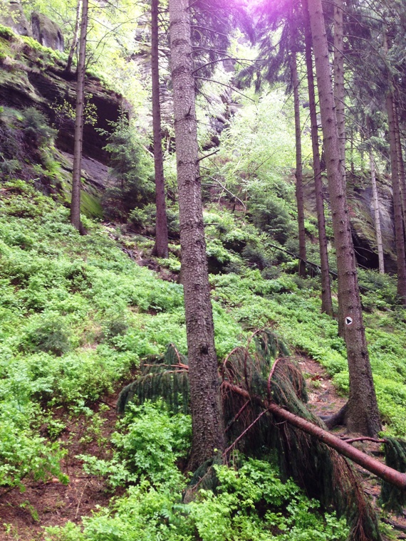 Rbezahlstiege in der Schsischen Schweiz